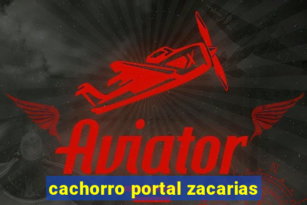 cachorro portal zacarias